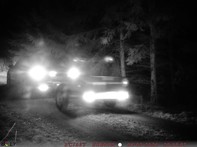 Bild från EKENÄSSALTSTEN