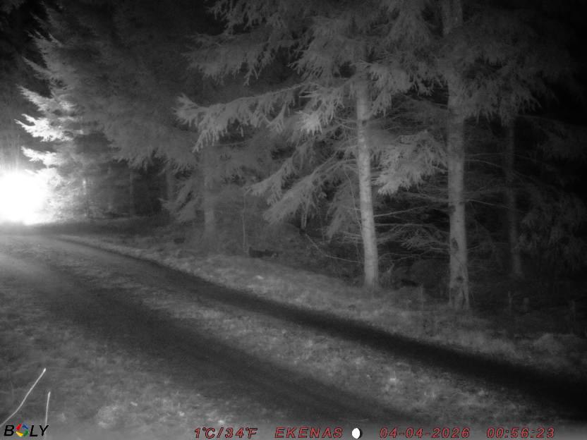 Bild från EKENÄSSALTSTEN