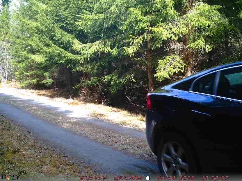 Bild från EKENÄSSALTSTEN