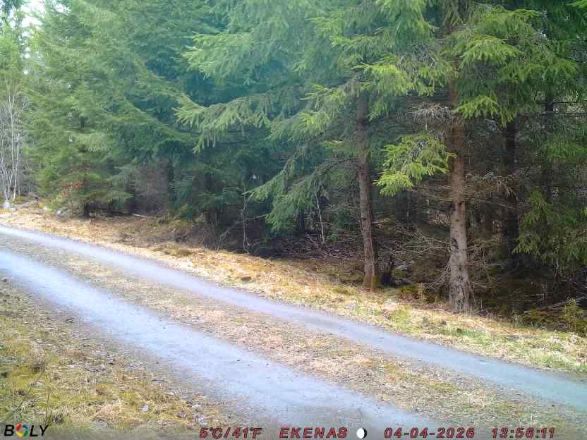 Bild från EKENÄSSALTSTEN