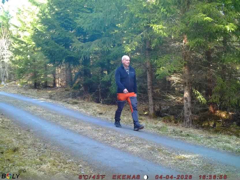 Bild från EKENÄSSALTSTEN