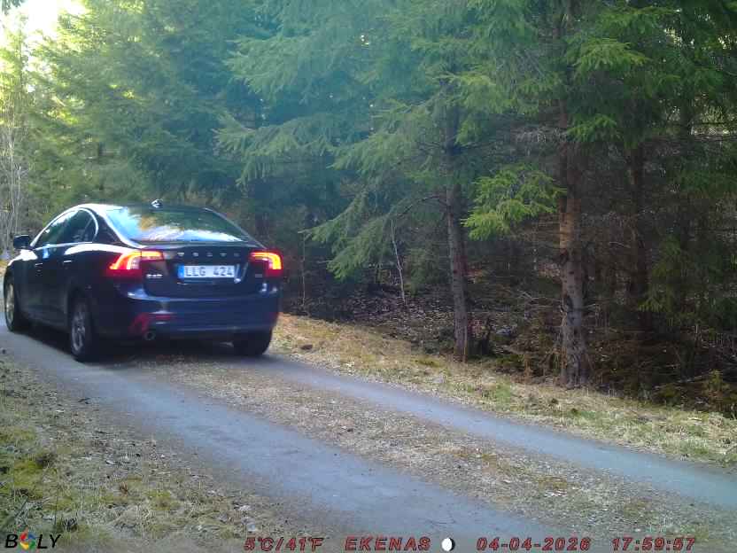 Bild från EKENÄSSALTSTEN