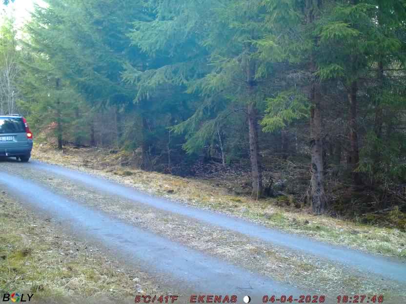 Bild från EKENÄSSALTSTEN