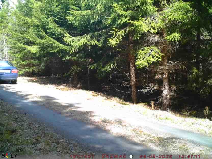 Bild från EKENÄSSALTSTEN