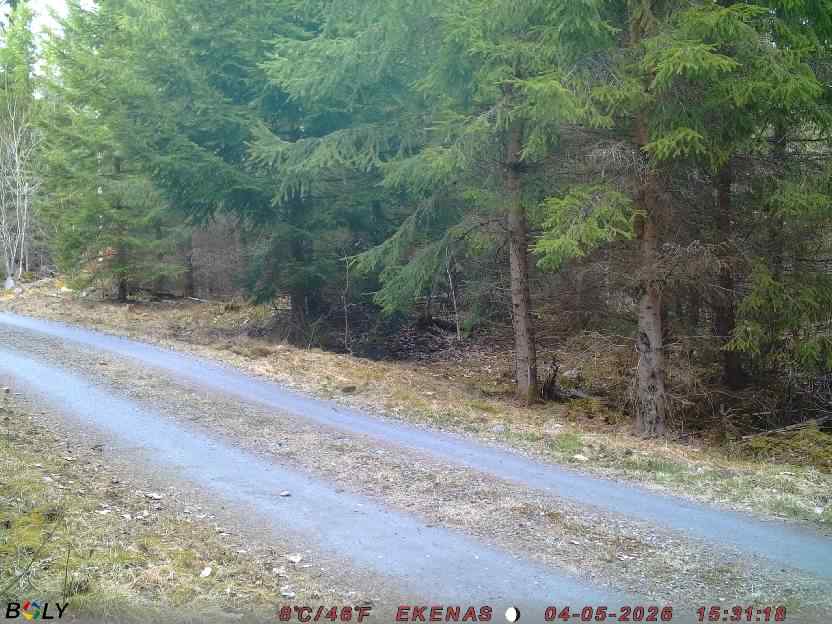 Bild från EKENÄSSALTSTEN