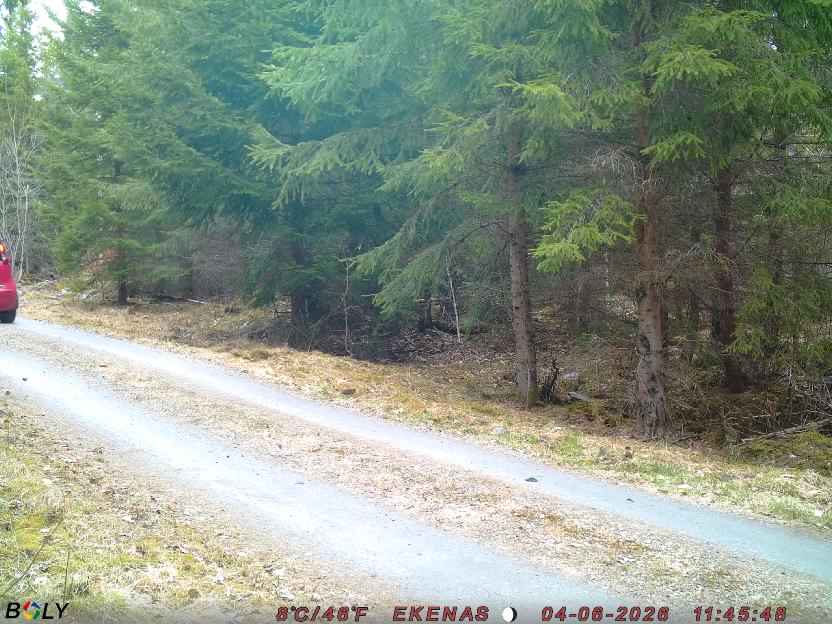 Bild från EKENÄSSALTSTEN