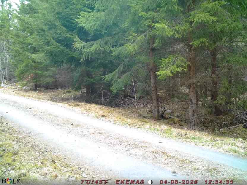 Bild från EKENÄSSALTSTEN