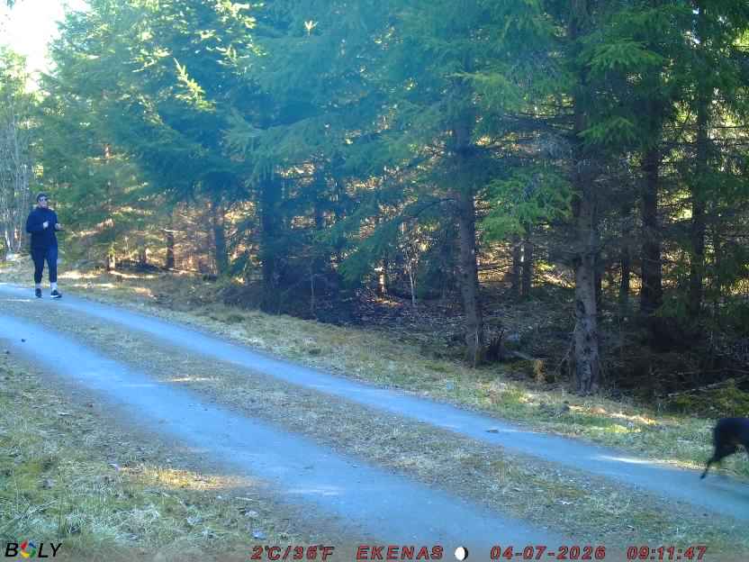 Bild från EKENÄSSALTSTEN