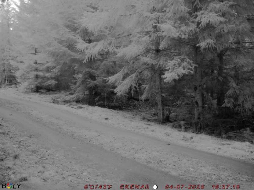 Bild från EKENÄSSALTSTEN