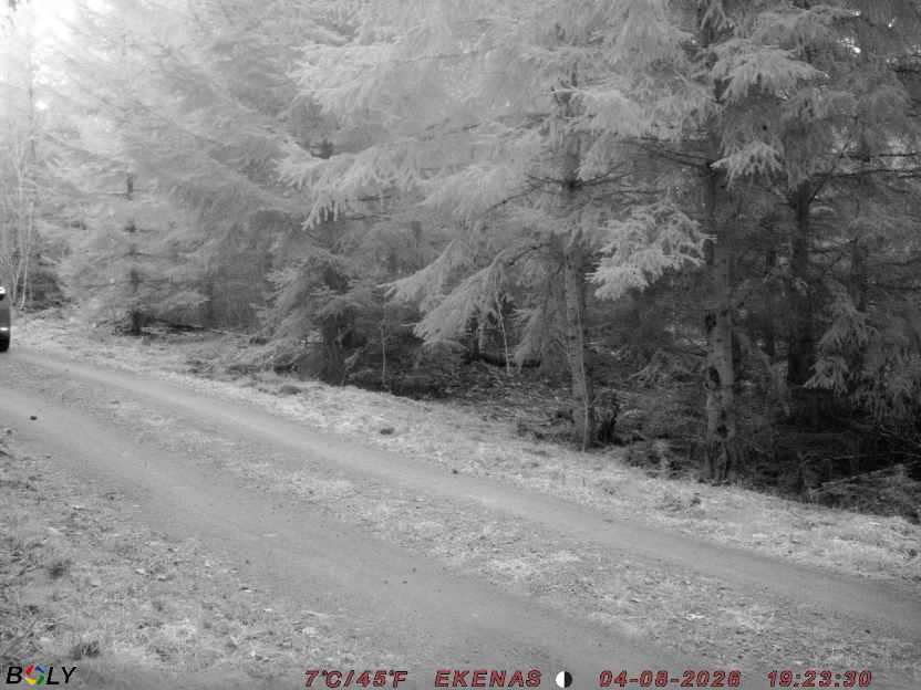 Bild från EKENÄSSALTSTEN