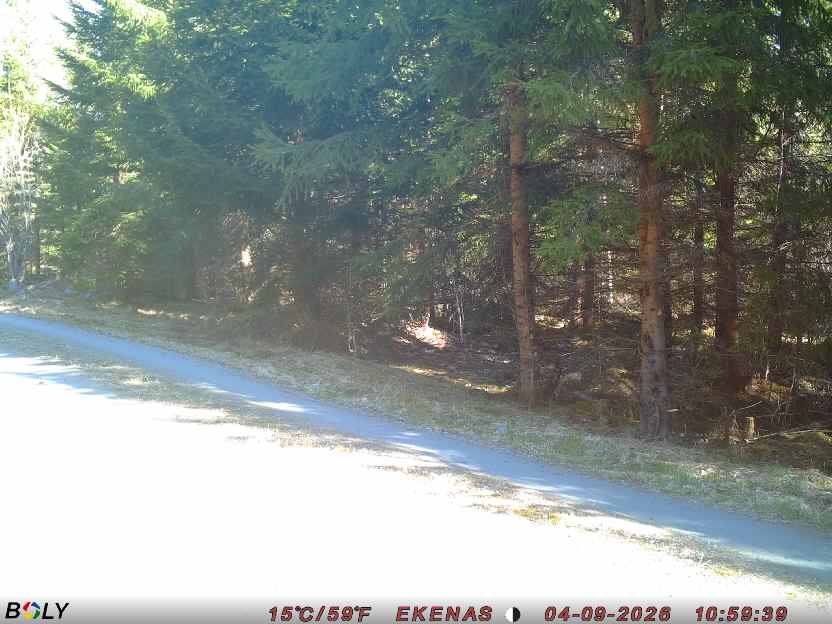 Bild från EKENÄSSALTSTEN