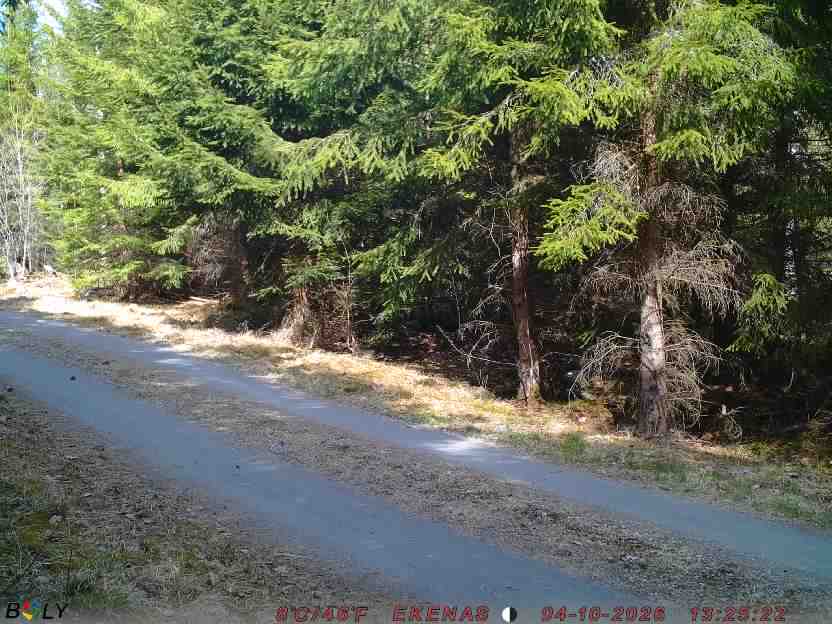 Bild från EKENÄSSALTSTEN