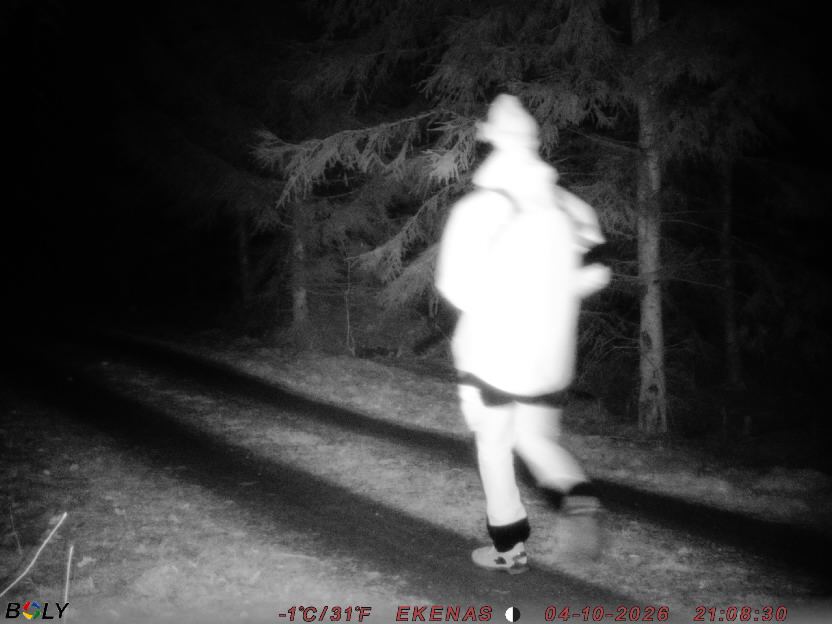 Bild från EKENÄSSALTSTEN