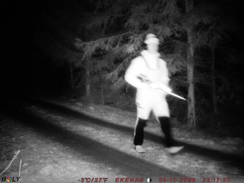 Bild från EKENÄSSALTSTEN