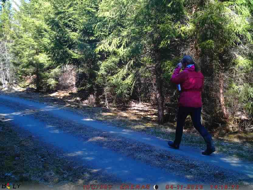 Bild från EKENÄSSALTSTEN