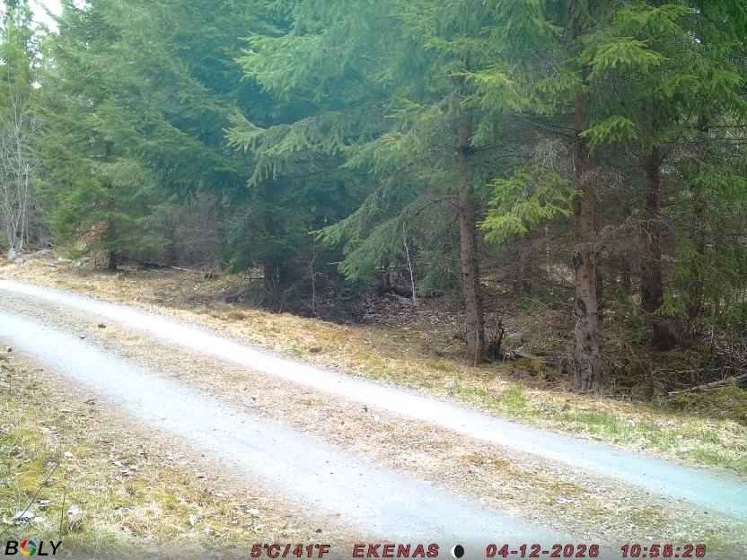 Bild från EKENÄSSALTSTEN