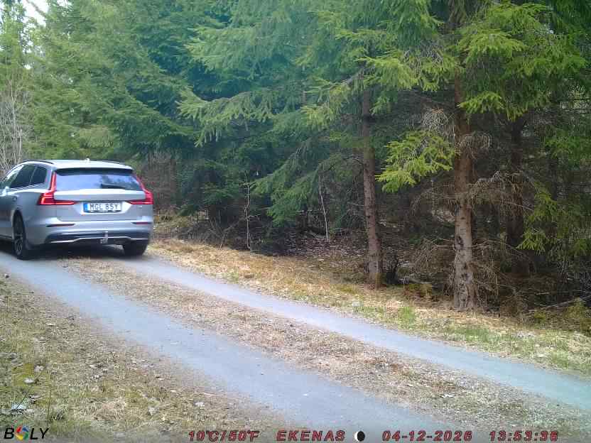 Bild från EKENÄSSALTSTEN