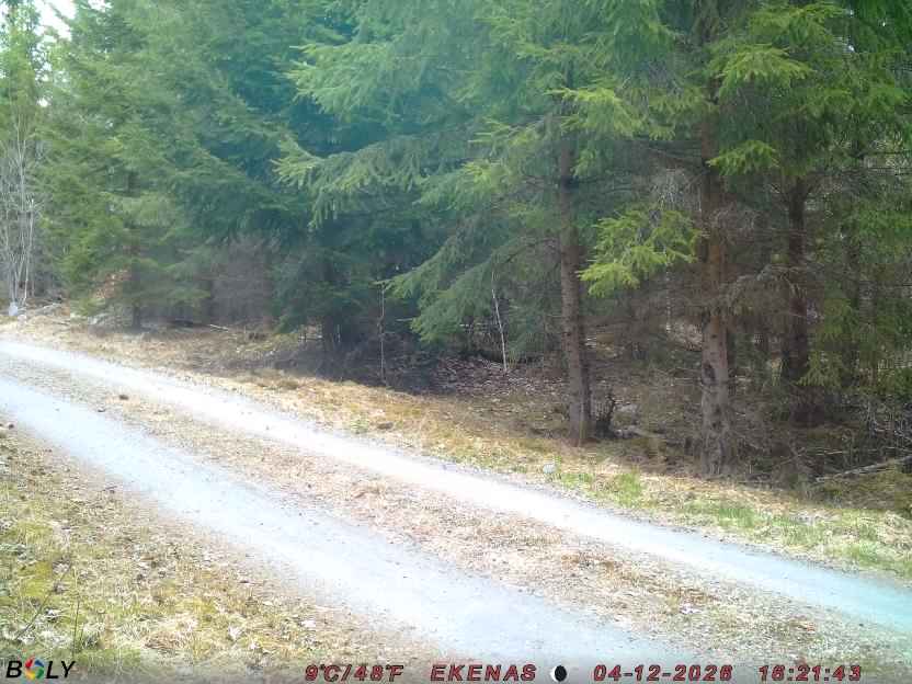 Bild från EKENÄSSALTSTEN