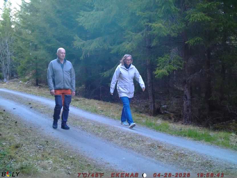 Bild från EKENÄSSALTSTEN