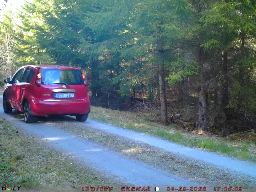 Bild från EKENÄSSALTSTEN