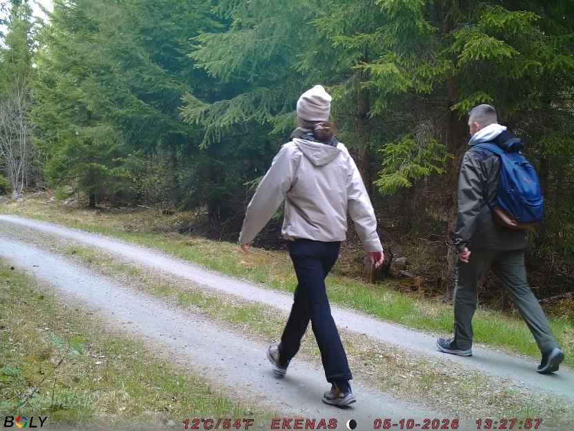Bild från EKENÄSSALTSTEN