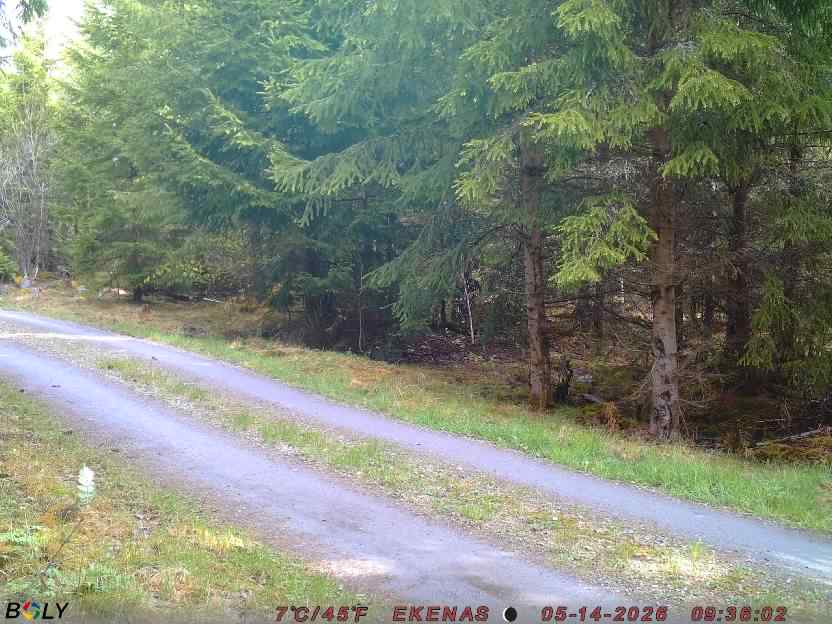 Bild från EKENÄSSALTSTEN