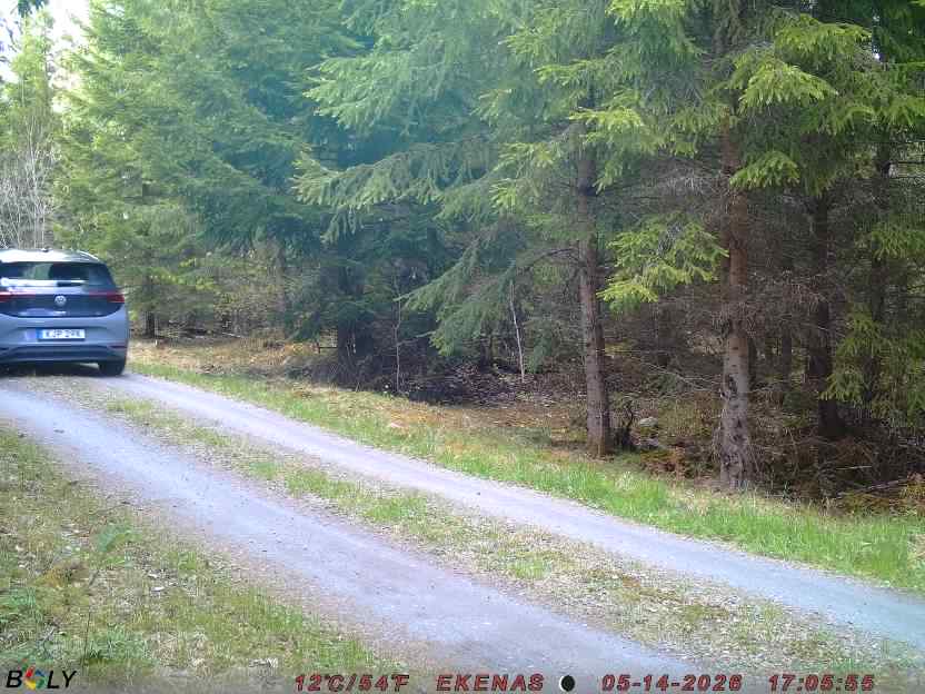 Bild från EKENÄSSALTSTEN