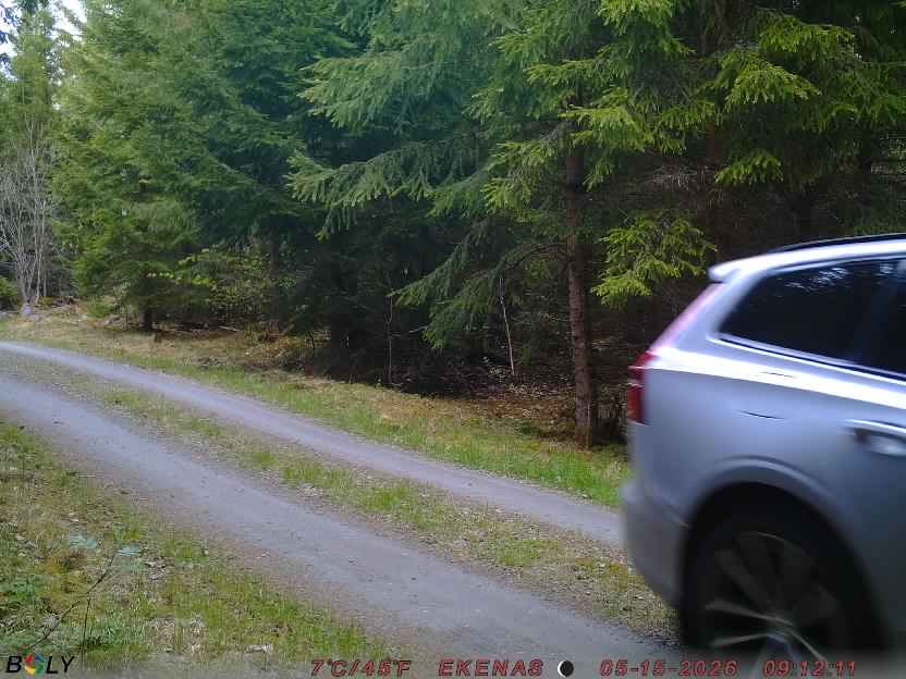 Bild från EKENÄSSALTSTEN