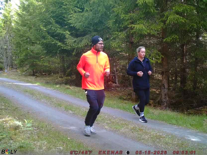 Bild från EKENÄSSALTSTEN