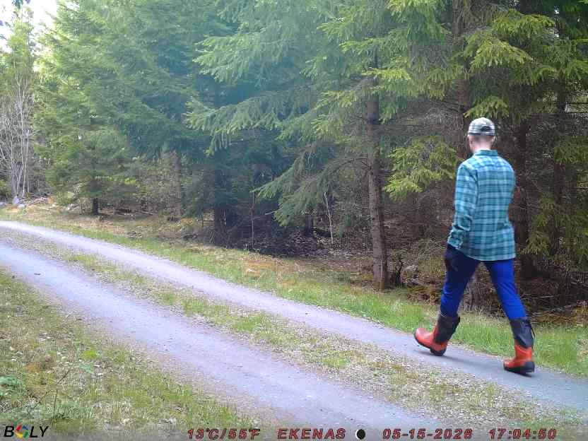 Bild från EKENÄSSALTSTEN
