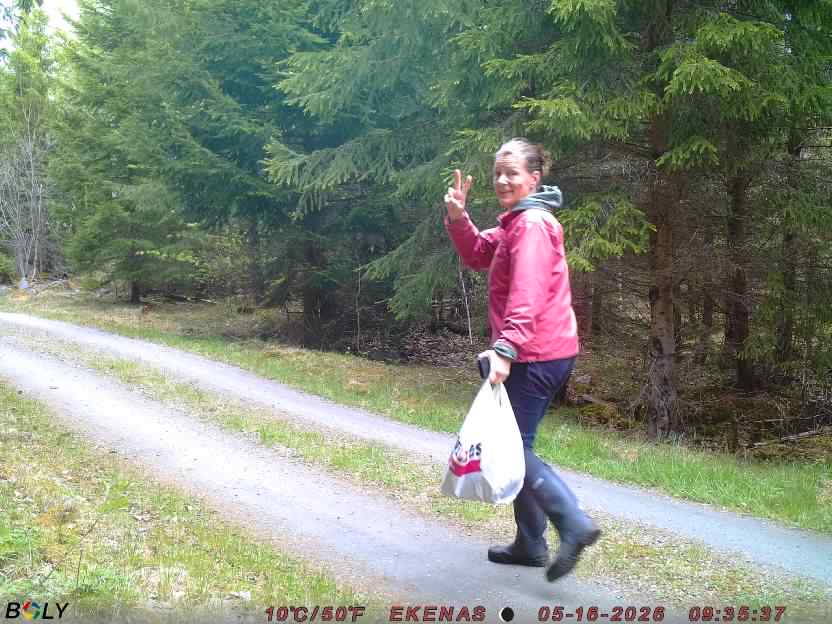 Bild från EKENÄSSALTSTEN