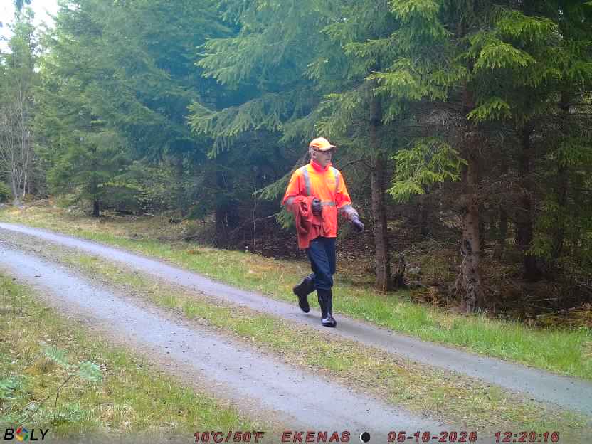 Bild från EKENÄSSALTSTEN