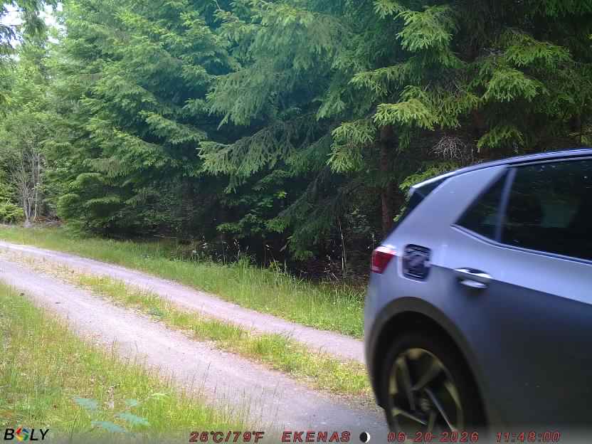 Bild från EKENÄSVÄGEN