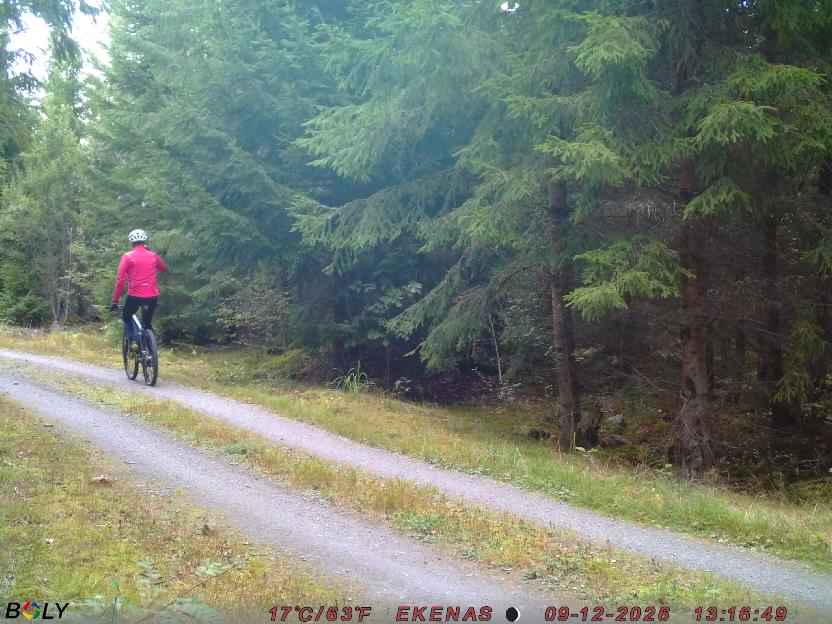 Bild från EKENÄSVÄGEN
